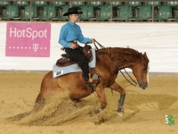 Nicory BM 2011